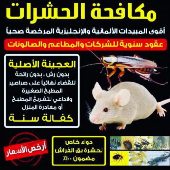 مكافحة قوارض - مكافحة حشرات وقوارض - الاتصال 50464050 - شركة حشرات - مكافحة حشرات - شركة مكافحة حشرات - مكافحة بق - مكافحة حشرات الكويت