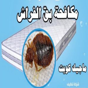 مكافحة حشرات الفروانية - مكافحة حشرات وقوارض الفروانية - مكافحة حشرات 50464050 - شركة حشرات - شركة مكافحة حشرات - مكافحة بق - مكافحة قوارض - مكافحة حشرات الكويت 14 مكافحة بق مكافحة حشرات الفروانية - مكافحة حشرات وقوارض الفروانية - مكافحة حشرات 50464050 - شركة حشرات - شركة مكافحة حشرات - مكافحة بق - مكافحة قوارض - مكافحة حشرات الكويت